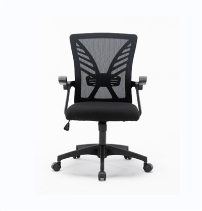 Konferans chèz ak wou